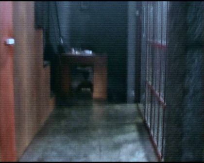 PDVD_478.jpg