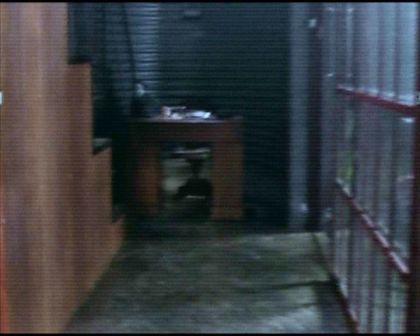 PDVD_479.jpg