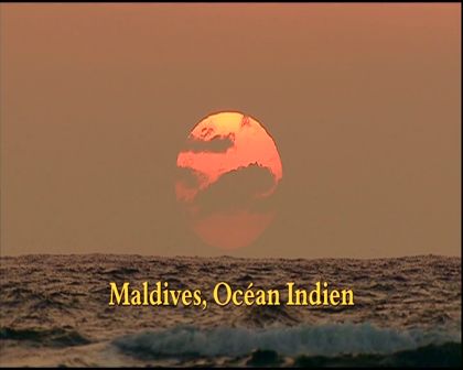 PDVD_990.jpg