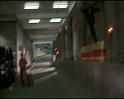 PDVD_1338