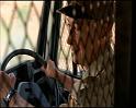 PDVD_1375