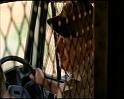 PDVD_1376