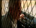 PDVD_1410