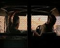 PDVD_1412