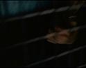 PDVD_1420