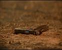 PDVD_1436