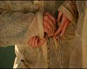 PDVD_1460