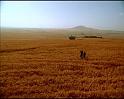 PDVD_1471