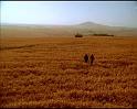 PDVD_1472
