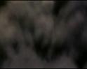PDVD_1527