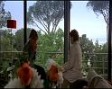 PDVD_1632
