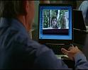 PDVD_1798