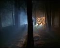 PDVD_2023