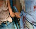 PDVD_2469