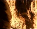 PDVD_2619