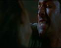 PDVD_2772