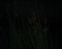 PDVD_2859