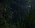 PDVD_2953
