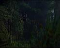 PDVD_2954