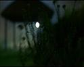 PDVD_2961