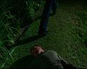 PDVD_2972