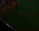 PDVD_3052