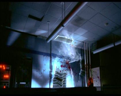 PDVD_430.jpg