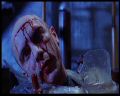 PDVD_057.jpg