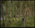 PDVD_198.jpg