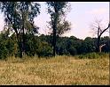 PDVD_1111