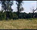 PDVD_1121