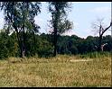 PDVD_1123