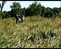 PDVD_1134
