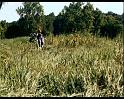 PDVD_1136