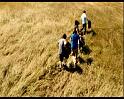 PDVD_1151