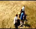 PDVD_1153