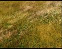 PDVD_1168