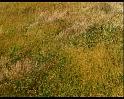 PDVD_1169