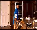 PDVD_1255