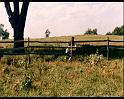 PDVD_1309