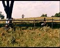 PDVD_1310