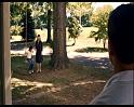 PDVD_1361