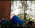 PDVD_1442