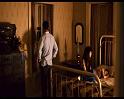 PDVD_1570