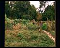 PDVD_1634