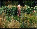 PDVD_1641