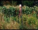 PDVD_1642