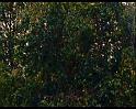PDVD_1648