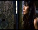 PDVD_1698