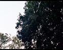 PDVD_1723